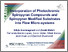 [thumbnail of presentation slides]