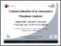 [thumbnail of presentation slides]