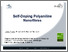 [thumbnail of presentation slides]
