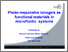 [thumbnail of presentation slides]