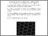 [thumbnail of DORAS_PDF.pdf]