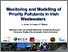 [thumbnail of Lisa_Jones_-_Euroanalysis_2011.pdf]