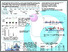 [thumbnail of Lisa_Jones_-_Pittcon_Poster_2011.pdf]