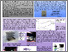 [thumbnail of Screen Printed Electrochemical Sensors for Real-Time Sodium Monitoring in Sweat]