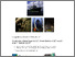 [thumbnail of Geological Survey of Ireland Technical Report]