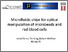 [thumbnail of presentation - Polynano Summer School]