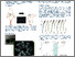 [thumbnail of Nanoweek Poster]