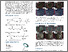[thumbnail of Insight2015_Poster_AT.pdf]