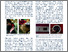 [thumbnail of poster]