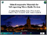 [thumbnail of workshop_Larisa_Florea_IC-ANMBES_FINAL.pdf]