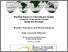 [thumbnail of 2006-2.pdf]