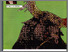 [thumbnail of 109]