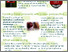 [thumbnail of Carlingford.pdf]