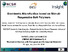 [thumbnail of CIMTEC2018_presentation_Perugia.pdf]