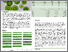 [thumbnail of Fiona Comparison of sample prep methods Poster.pdf]