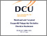 [thumbnail of Nicolo Fantoni PhD thesis.pdf]