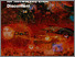 [thumbnail of the-future-of-visibility-imagining-possibilities-for-networked-civic-discontent.pdf]