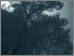 [thumbnail of YU_BOOK.pdf]