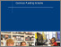 [thumbnail of independent-review-of-cfs.pdf]