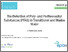 [thumbnail of Environ_2024_Oral_Presentation_Burke_H.pdf]