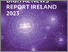 [thumbnail of DNR2023-Ireland.pdf]