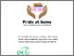 [thumbnail of Full Report Pride at Home .pdf]