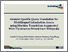 [thumbnail of cross_ling_info_pres_2008.pdf]
