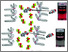 [thumbnail of b903772a-ga.gif]