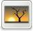 [thumbnail of Fig 1]